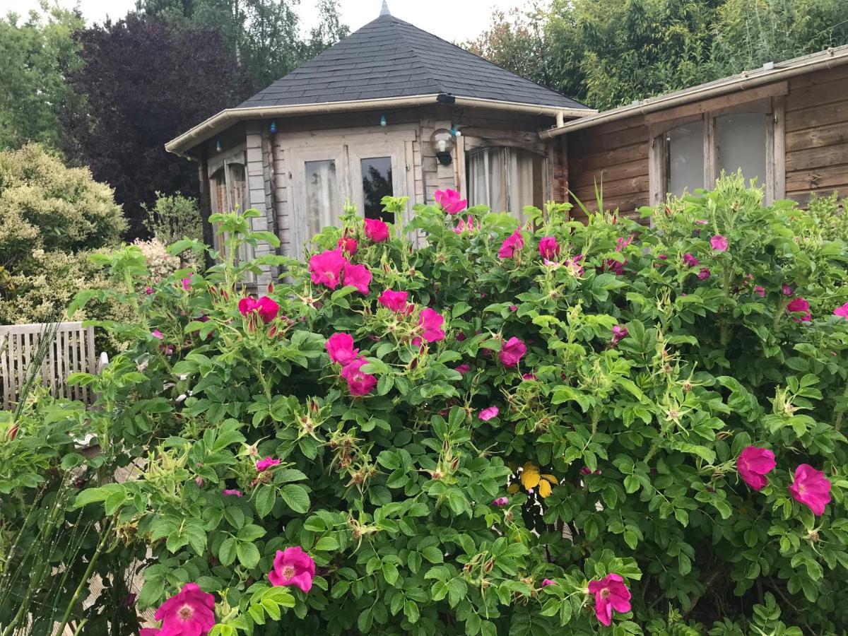 Le Jardin Sauvage Bed & Breakfast Maintenay Exterior photo