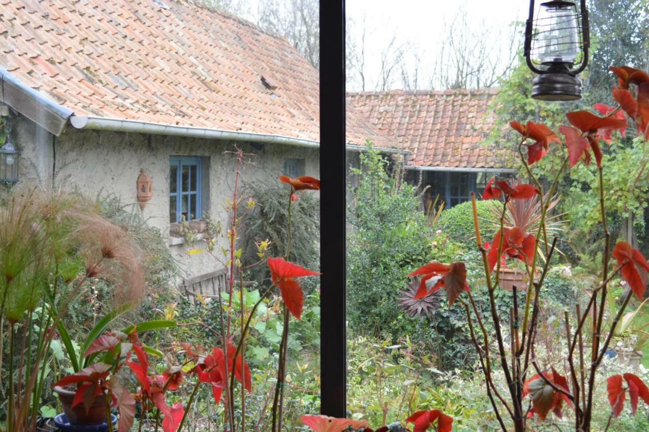 Le Jardin Sauvage Bed & Breakfast Maintenay Exterior photo